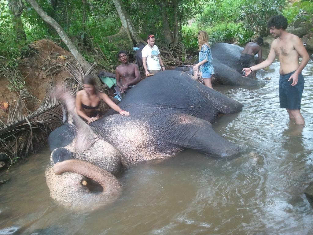 Jungle Village Homestay Pinnawala (Kegalle) Exterior foto